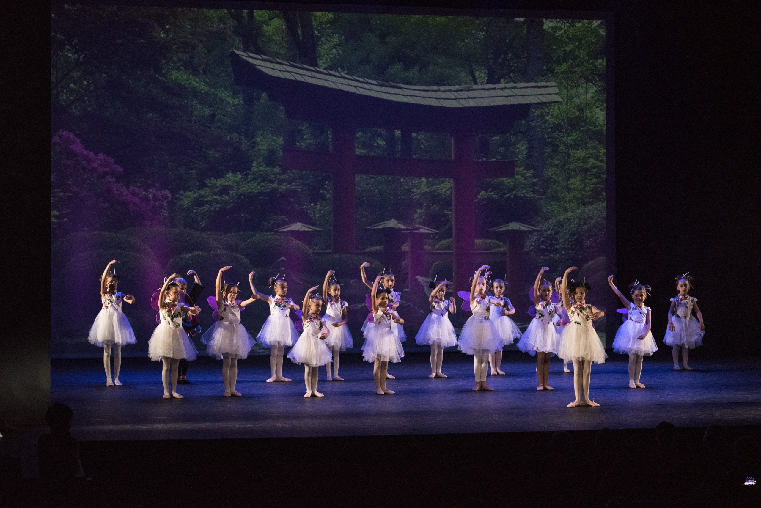 Spectacle de danse 2018 - Dance Academy Juana Thürler